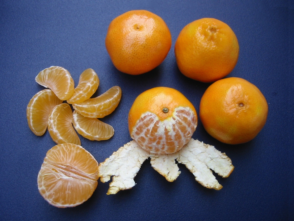 Citrus reticulata