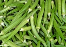 Abelmoschus esculentus
