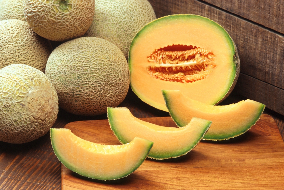 Cucumis melo cantalupensis