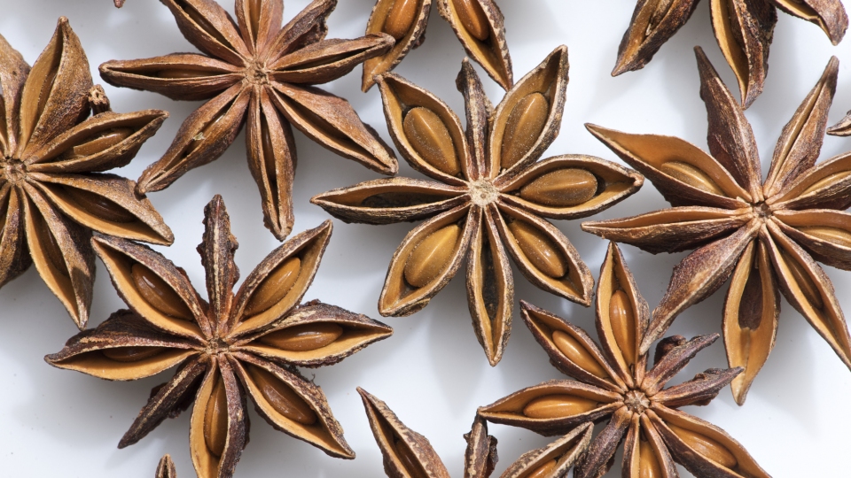 Illicium verum