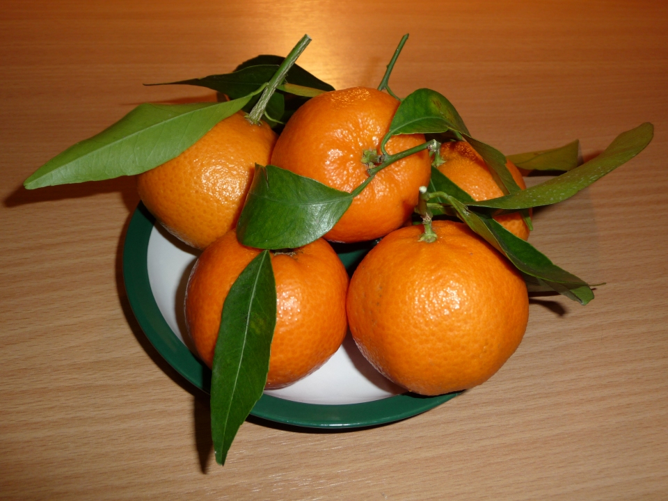 Citrus reticulata