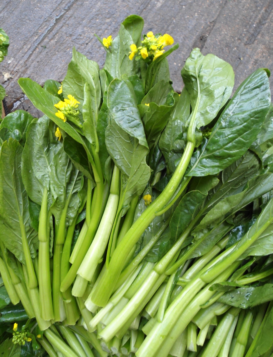 Brassica rapa parachinensis